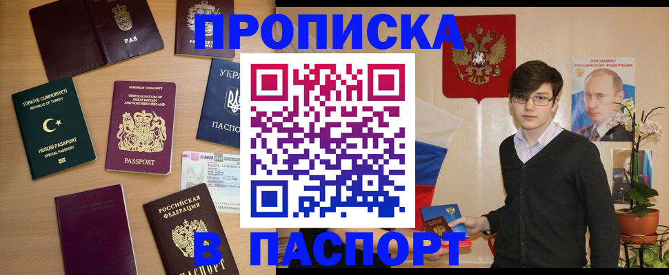 прописка 2025 в Колпашево